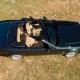Mercedes Benz SL320 Designo in Allanite Green 